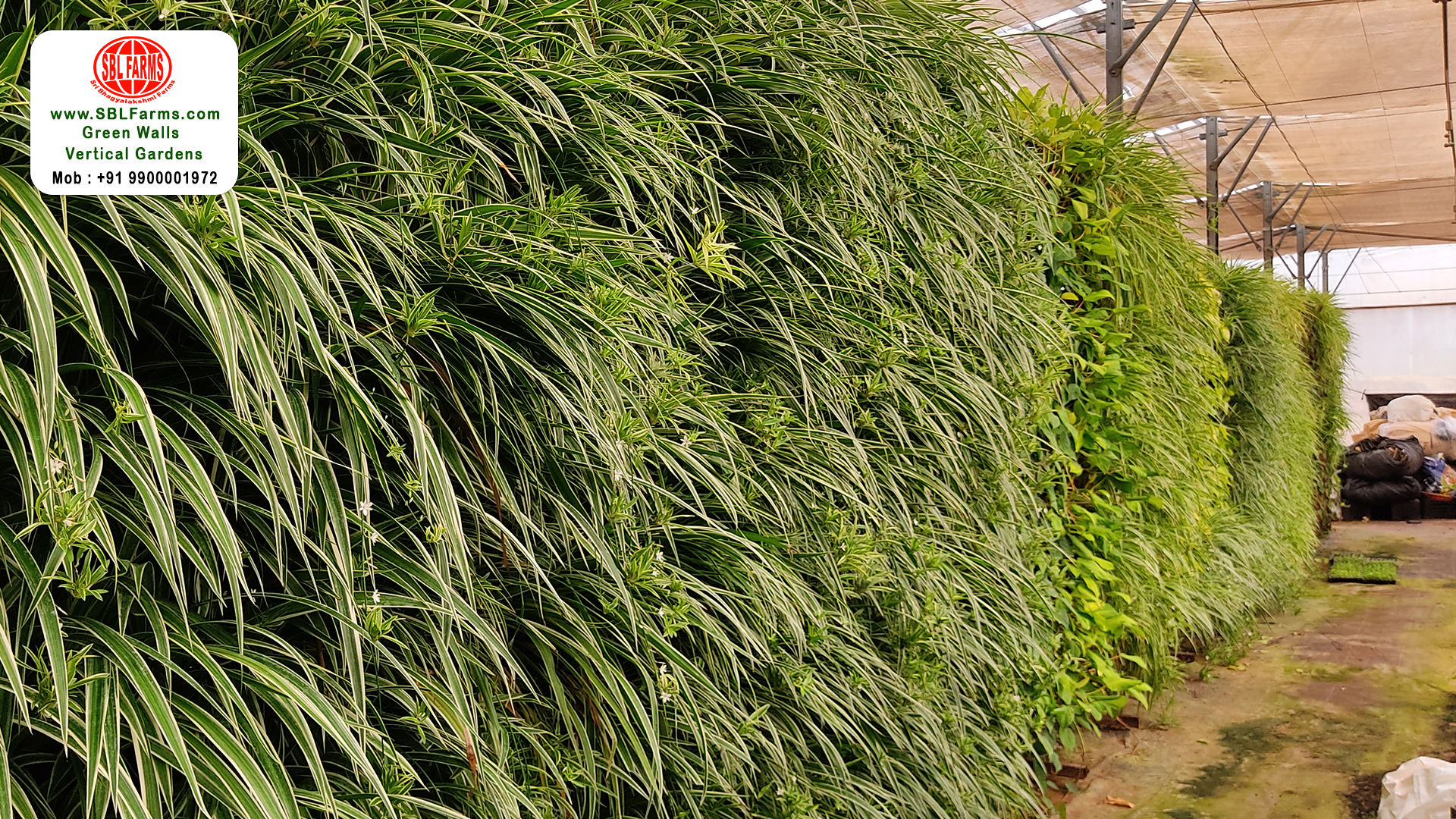 Sbl Farms Green walls and Living walls, Vertical Garden, Bio Curtains,Green wall or vertical garden service for house in bangalore